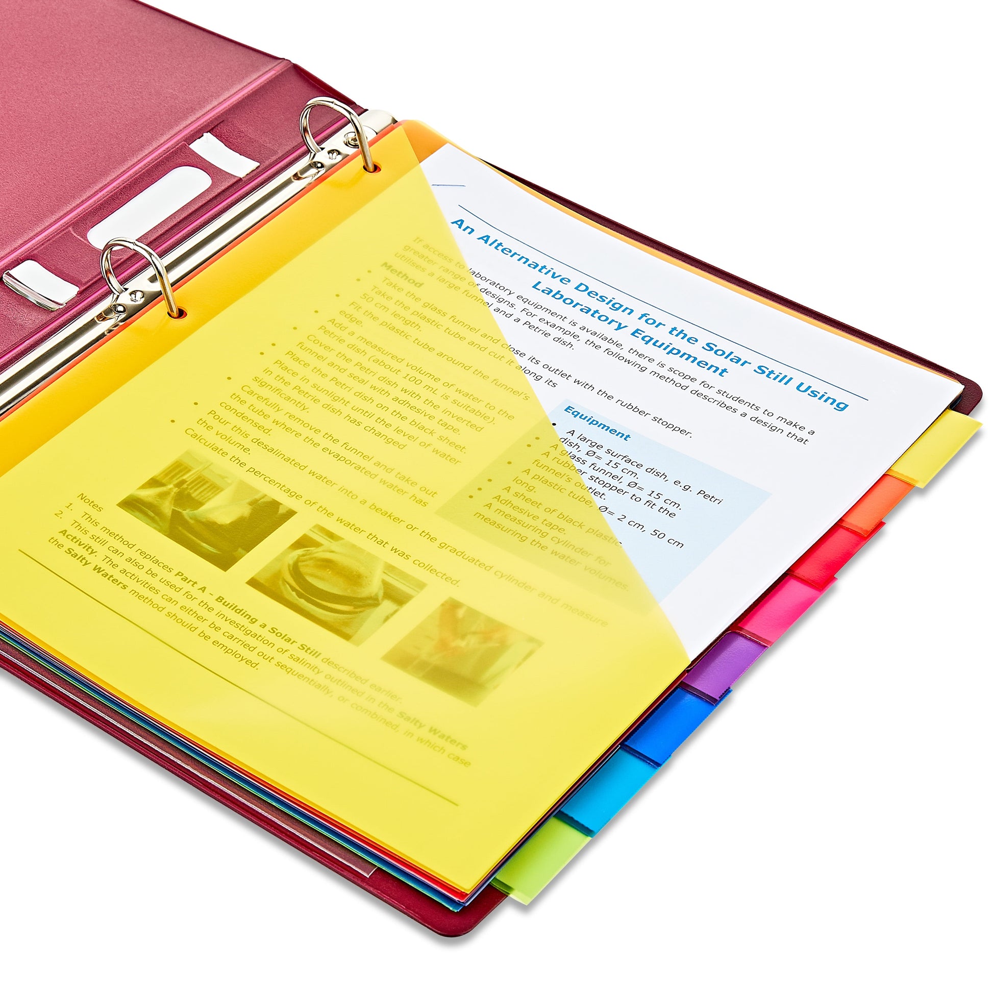 Vibrant Color 8-Tab Dividers with Pockets